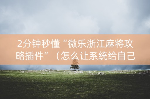 2分钟秒懂“微乐浙江麻将攻略插件”（怎么让系统给自己好牌)