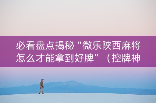 必看盘点揭秘“微乐陕西麻将怎么才能拿到好牌”（控牌神器)