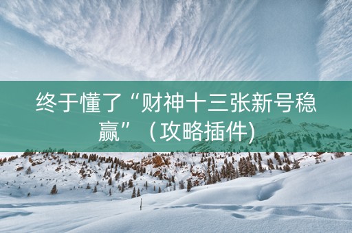 终于懂了“财神十三张新号稳赢”（攻略插件)