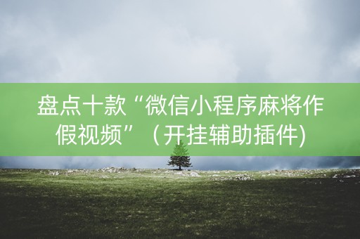 盘点十款“微信小程序麻将作假视频”（开挂辅助插件)