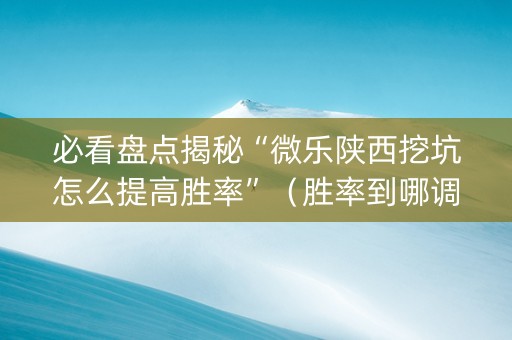 必看盘点揭秘“微乐陕西挖坑怎么提高胜率”（胜率到哪调)