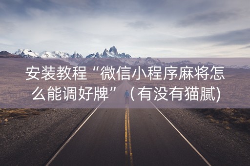 安装教程“微信小程序麻将怎么能调好牌”（有没有猫腻)