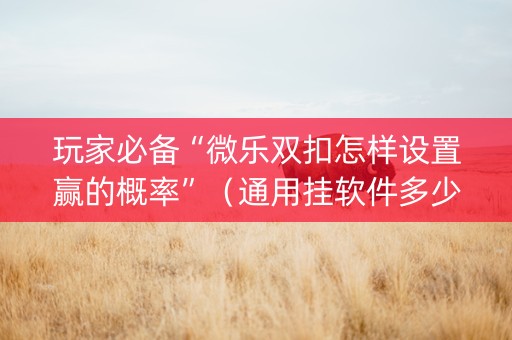玩家必备“微乐双扣怎样设置赢的概率”（通用挂软件多少钱)