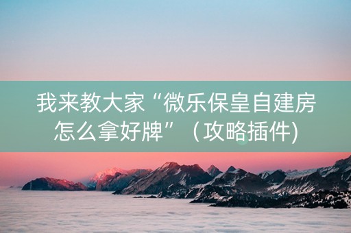 我来教大家“微乐保皇自建房怎么拿好牌”（攻略插件)