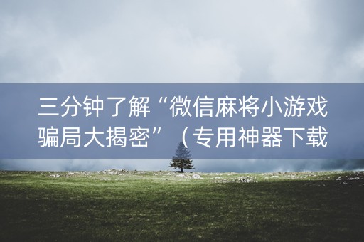 三分钟了解“微信麻将小游戏骗局大揭密”（专用神器下载)