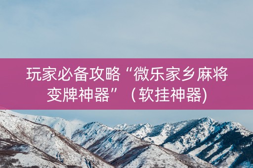 玩家必备攻略“微乐家乡麻将变牌神器”（软挂神器)