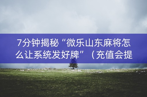 7分钟揭秘“微乐山东麻将怎么让系统发好牌”（充值会提高胜率么)
