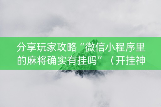 分享玩家攻略“微信小程序里的麻将确实有挂吗”（开挂神器下载)