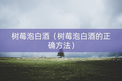 树莓泡白酒（树莓泡白酒的正确方法）
