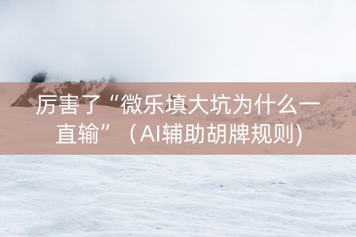 厉害了“微乐填大坑为什么一直输”（AI辅助胡牌规则)