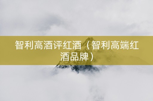 智利高酒评红酒（智利高端红酒品牌）