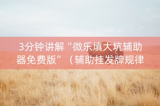 3分钟讲解“微乐填大坑辅助器免费版”（辅助挂发牌规律)