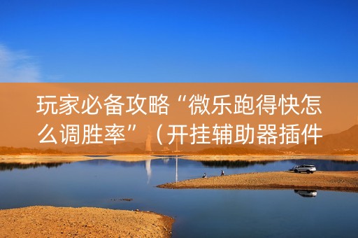 玩家必备攻略“微乐跑得快怎么调胜率”（开挂辅助器插件)