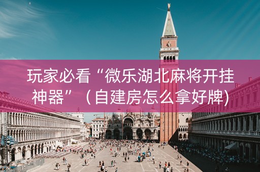 玩家必看“微乐湖北麻将开挂神器”（自建房怎么拿好牌)