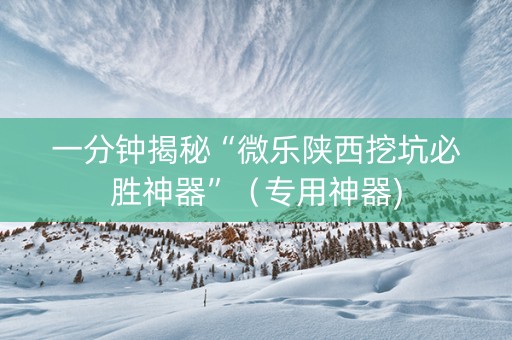 一分钟揭秘“微乐陕西挖坑必胜神器”（专用神器)