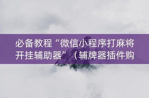 必备教程“微信小程序打麻将开挂辅助器”（辅牌器插件购买)