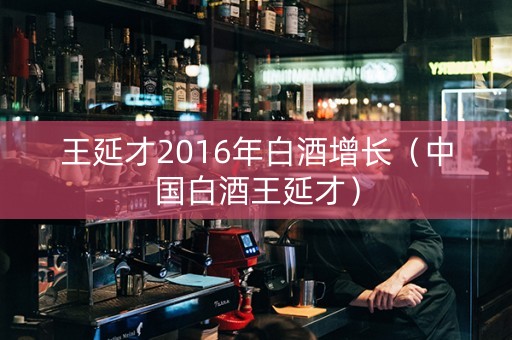 王延才2016年白酒增长（中国白酒王延才）