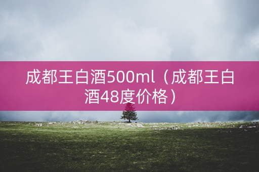 成都王白酒500ml（成都王白酒48度价格）
