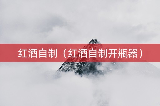 红酒自制（红酒自制开瓶器）