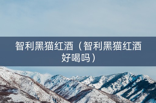 智利黑猫红酒（智利黑猫红酒好喝吗）