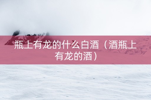 瓶上有龙的什么白酒（酒瓶上有龙的酒）