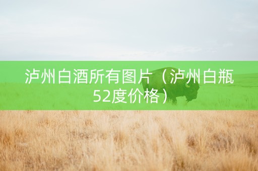 泸州白酒所有图片（泸州白瓶52度价格）