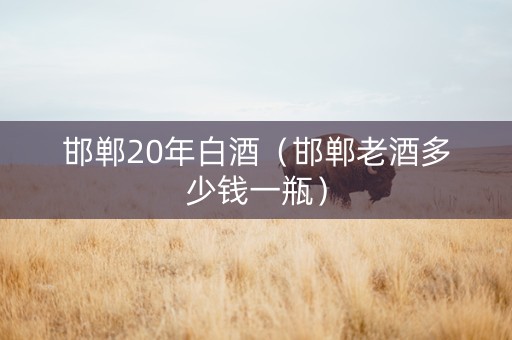 邯郸20年白酒（邯郸老酒多少钱一瓶）