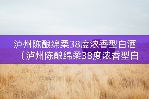 泸州陈酿绵柔38度浓香型白酒（泸州陈酿绵柔38度浓香型白酒多少钱）