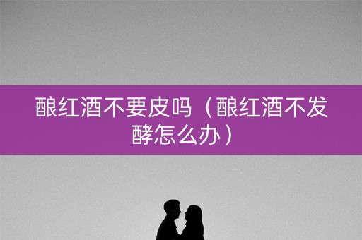 酿红酒不要皮吗（酿红酒不发酵怎么办）