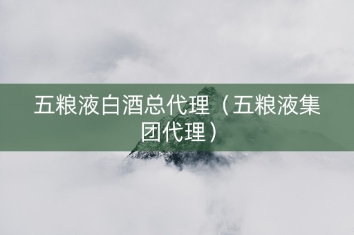 五粮液白酒总代理（五粮液集团代理）