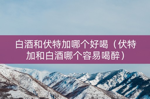 白酒和伏特加哪个好喝（伏特加和白酒哪个容易喝醉）