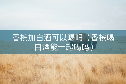 香槟加白酒可以喝吗（香槟喝白酒能一起喝吗）
