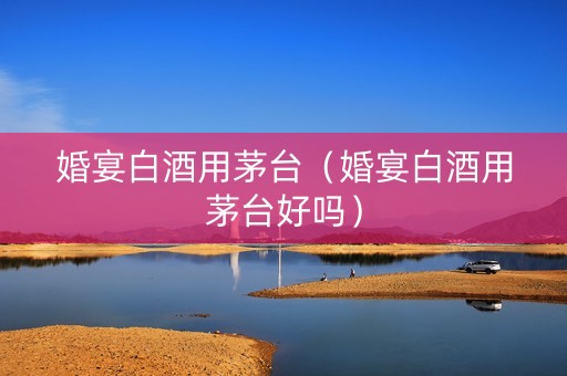 婚宴白酒用茅台（婚宴白酒用茅台好吗）