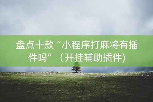 盘点十款“小程序打麻将有插件吗”（开挂辅助插件)