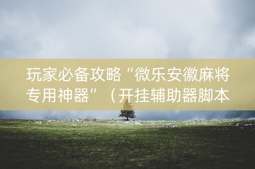 玩家必备攻略“微乐安徽麻将专用神器”（开挂辅助器脚本)