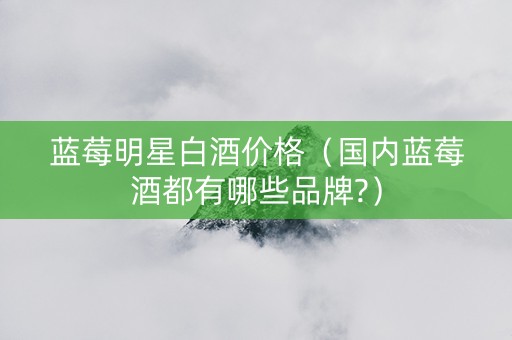 蓝莓明星白酒价格（国内蓝莓酒都有哪些品牌?）