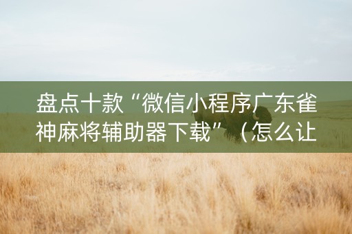 盘点十款“微信小程序广东雀神麻将辅助器下载”（怎么让系统给你发好牌)