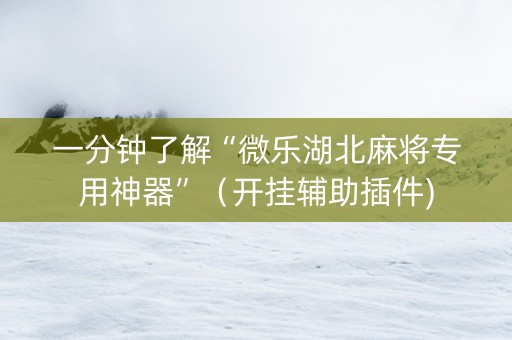 一分钟了解“微乐湖北麻将专用神器”（开挂辅助插件)
