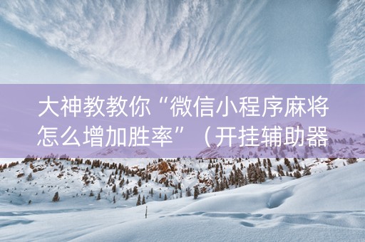 大神教教你“微信小程序麻将怎么增加胜率”（开挂辅助器插件)