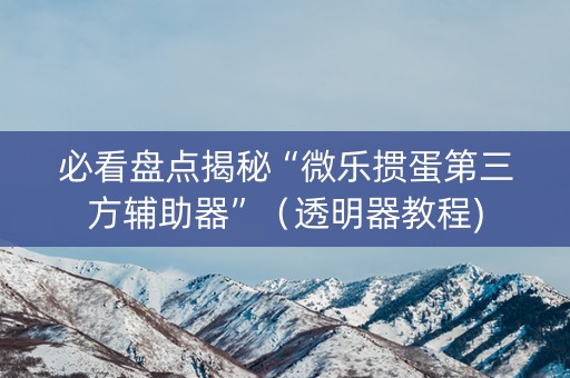 必看盘点揭秘“微乐掼蛋第三方辅助器”（透明器教程)