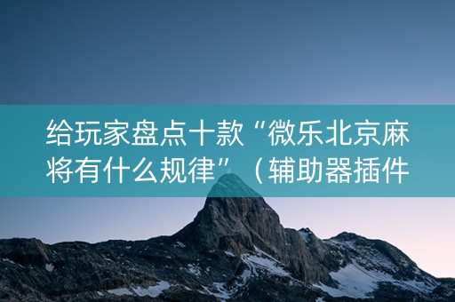 给玩家盘点十款“微乐北京麻将有什么规律”（辅助器插件)