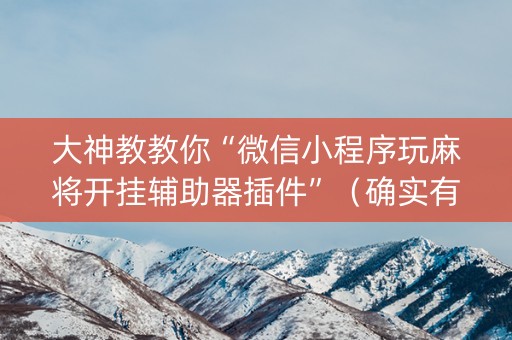 大神教教你“微信小程序玩麻将开挂辅助器插件”（确实有插件吗)