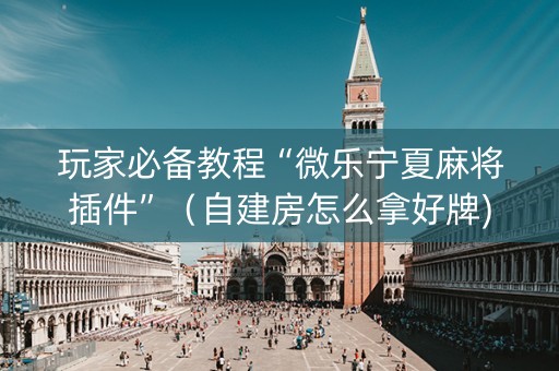 玩家必备教程“微乐宁夏麻将插件”（自建房怎么拿好牌)