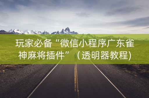 玩家必备“微信小程序广东雀神麻将插件”（透明器教程)