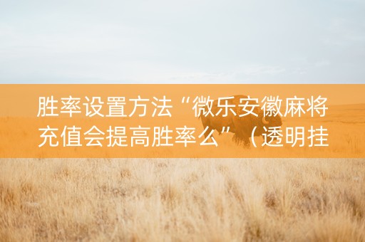 胜率设置方法“微乐安徽麻将充值会提高胜率么”（透明挂辅助器)