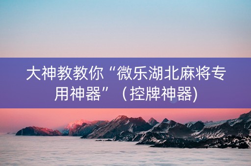 大神教教你“微乐湖北麻将专用神器”（控牌神器)