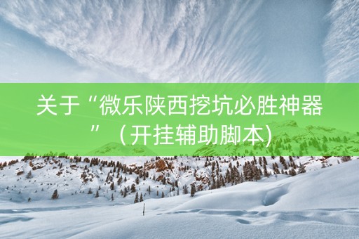 关于“微乐陕西挖坑必胜神器”（开挂辅助脚本)