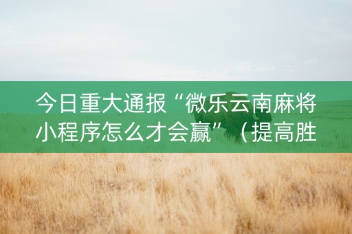 今日重大通报“微乐云南麻将小程序怎么才会赢”（提高胜率软件)