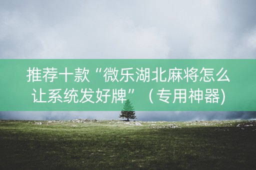 推荐十款“微乐湖北麻将怎么让系统发好牌”（专用神器)