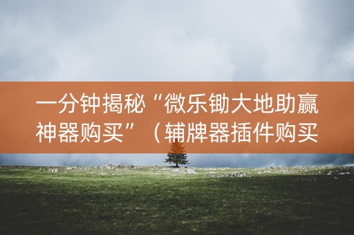 一分钟揭秘“微乐锄大地助赢神器购买”（辅牌器插件购买)